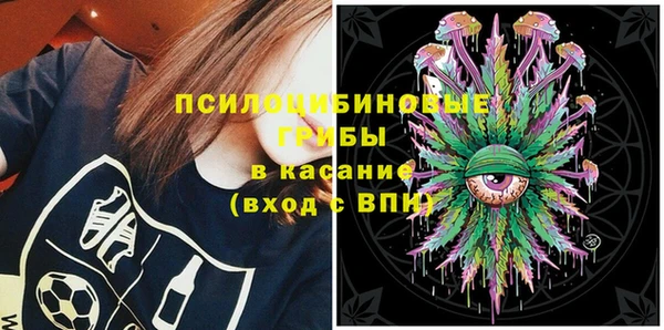 мет Алексин