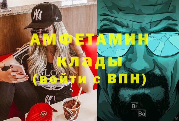 прущие грибы Алзамай
