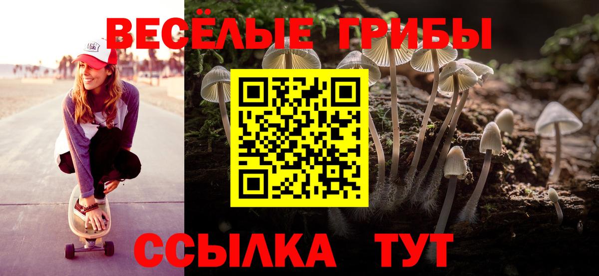 Псилоцибиновые грибы мухоморы  Псилоцибиновые грибы Psilocybe  Вход с VPN  Сунжа 