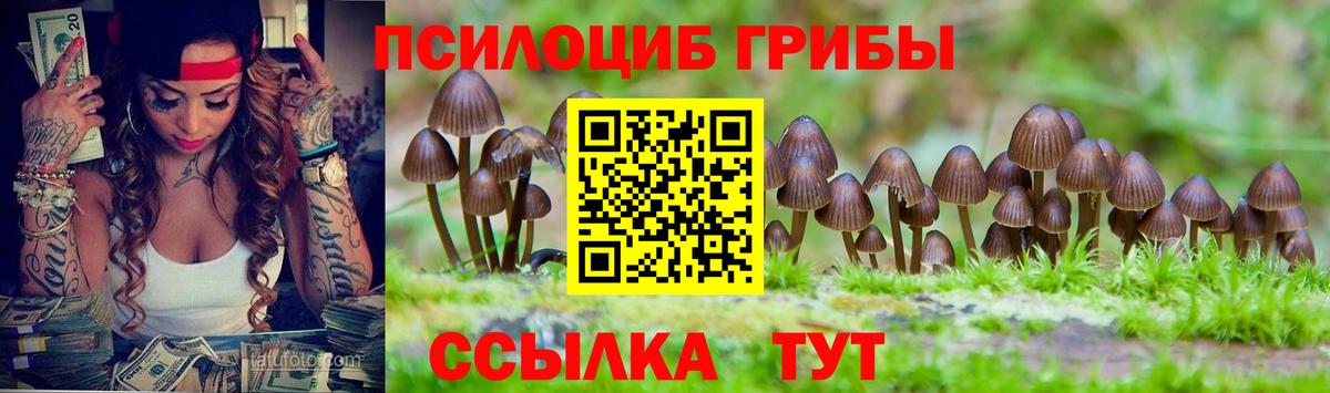 Псилоцибиновые грибы мухоморы Сунжа
